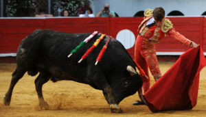 (Foto: André Viard)