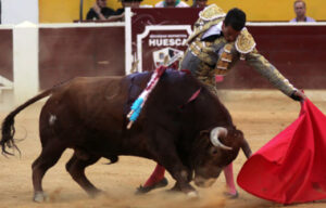 (Foto: Araceli Aliseda)