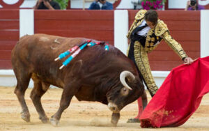 (Foto: Javier Arroyo)