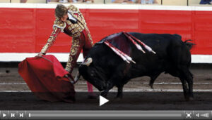 (Foto: Arjona)
