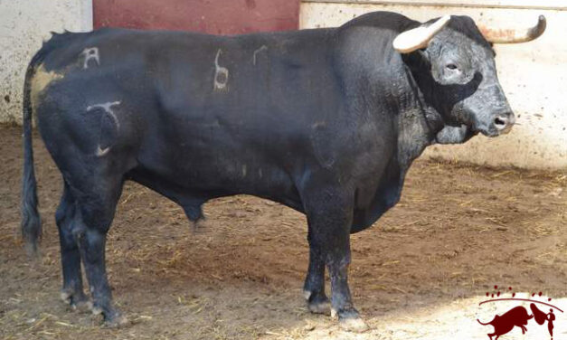 Seis terrones cierran Málaga