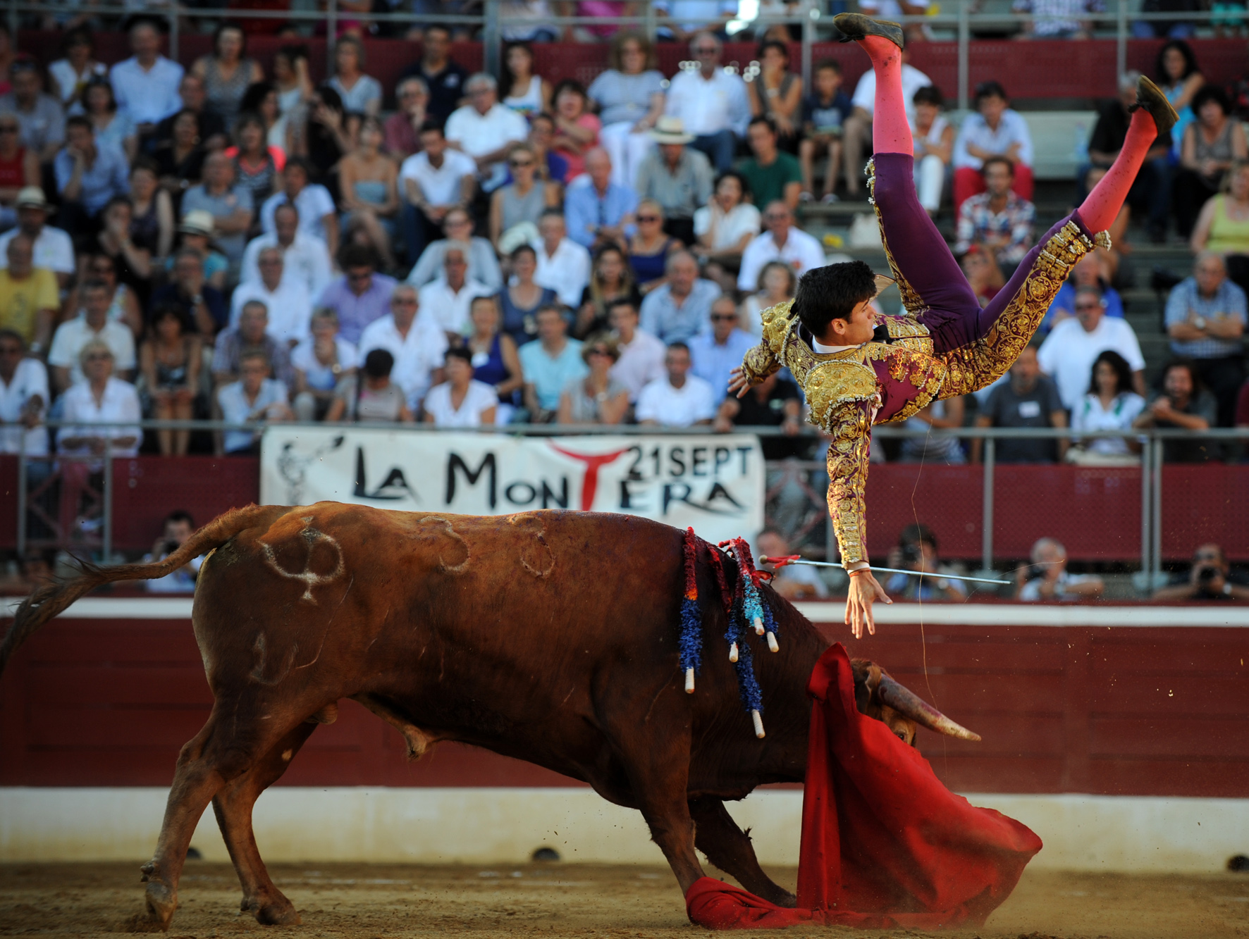 (Foto: André Viard)