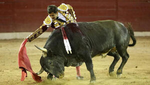 (Foto: Suertematador)