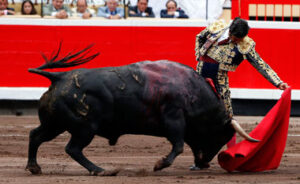 (Foto: Arjona)
