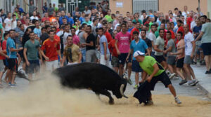 (Foto: Paco Rojas)