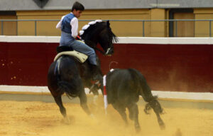 Guillermo, a lomos de Disparate, realizando la Hermosina. (Foto: Pablohermoso.net)