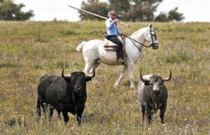 (Foto: Por las Rutas del Toro)