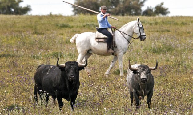 Una leyenda regresa a Las Ventas