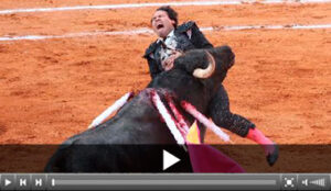 (Foto: Efrén González / suertematador.com)