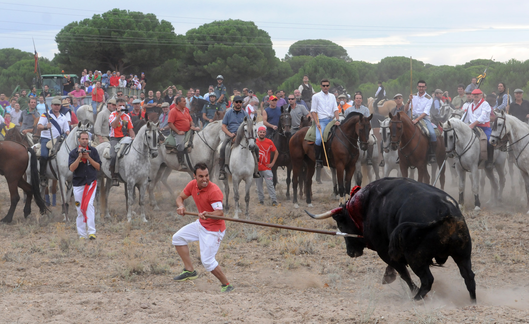 Álvaro Martín "El Portu", alanceando a Elegido, de Bañuelos. (Foto: André Viard)