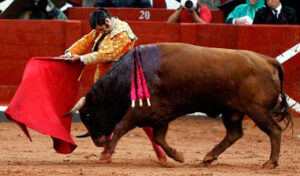 (Foto: Arjona)