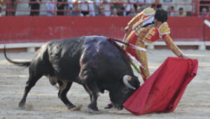 (Foto: Archivo)