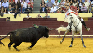 (Foto: Joao Silva)