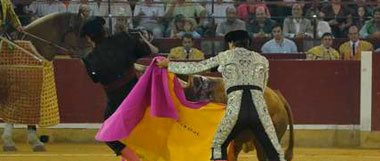 (Foto: www.toroszaragoza.es)