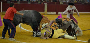 (Foto: www.toroszaragoza.es)