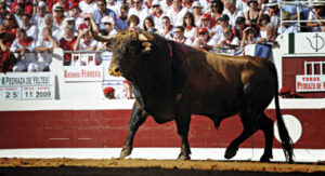 (Foto: André Viard)