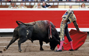 (Foto: Arjona)