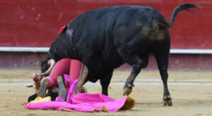 (Foto: Rullot)