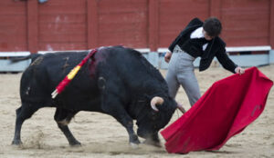 (Foto: Javier Arroyo)