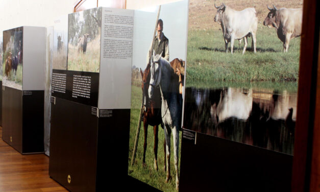 Víctor Mendes, El Soro, Pepe Moral, Eduardo Miura... en Lliria