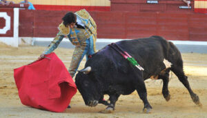 (Foto: Carmen Moya)