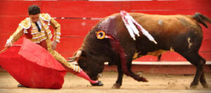 (Foto: Gus Pelayo / suertematador.com)