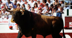 (Foto: André Viard)