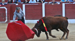 Ruiz Miguel, durante su faena (Foto: Emilio Bleda)