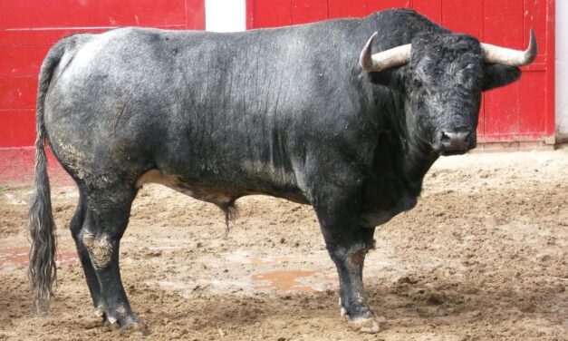 Rematada y honda corrida de San Isidro para Guadalajara