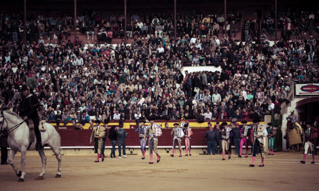 Castellón volverá a organizar seis festejos en Magdalena