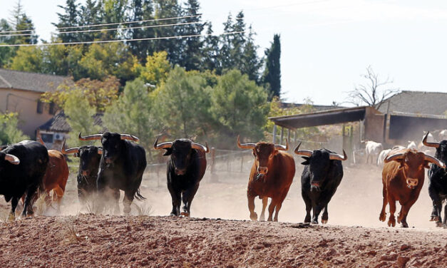 La obra de don Samuel