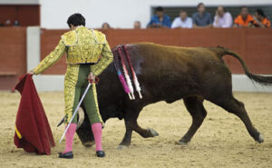 (Foto: Javier Arroyo)