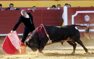 (Foto: Arjona)