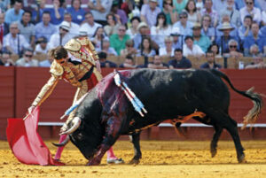 (Foto: Arjona)