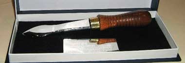 Ponce, Puntilla de Plata 2014