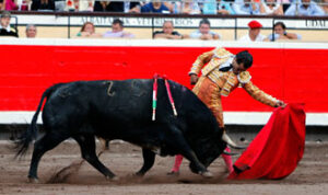 (Foto: Arjona)