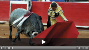 (Foto: Tadeo Alcina)