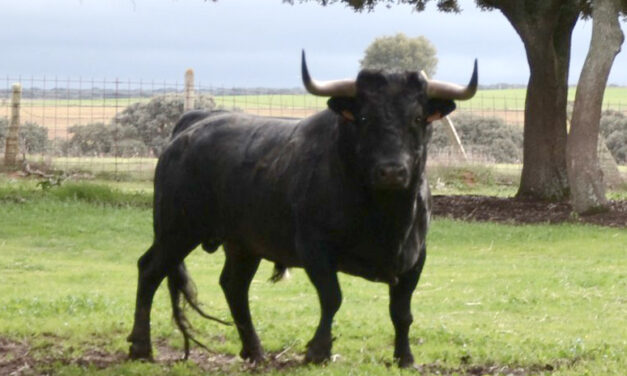 Juan Luis Fraile, baja en Ceret y Francia "por problemas sanitarios"