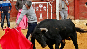 Marco Antonio Gómez, toreando en una capea.