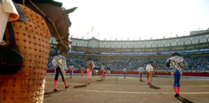 (Foto: Arjona)