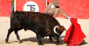 (Foto: Paco Haro)