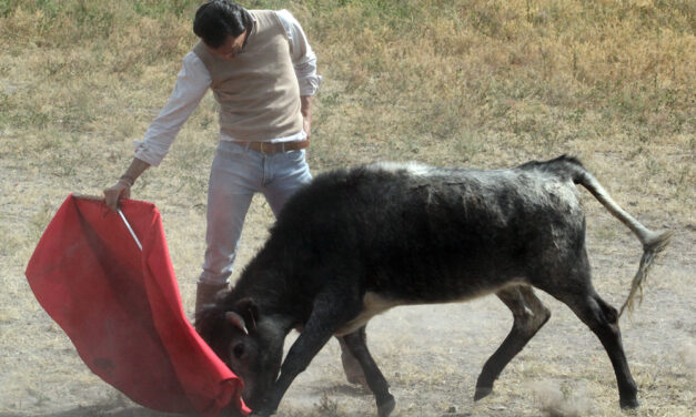 Leandro ultima su preparación en el campo bravo mexicano