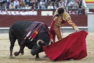 (Foto: Javier Arroyo)