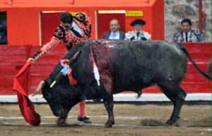 Padilla, en Tepeapulco