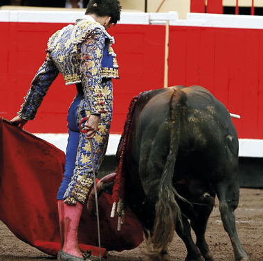 “Ha sido el año soñado”