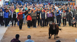 (Foto: Rullot)