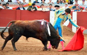 (Foto: J.Cepeda)