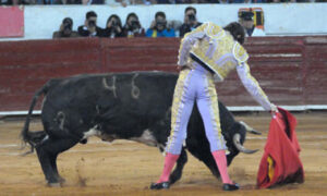 (Foto: Tadeo Alcina)