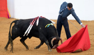 (Foto: Joao Silva)