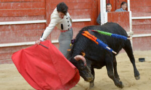 (Foto: Carlos Pereletegui)